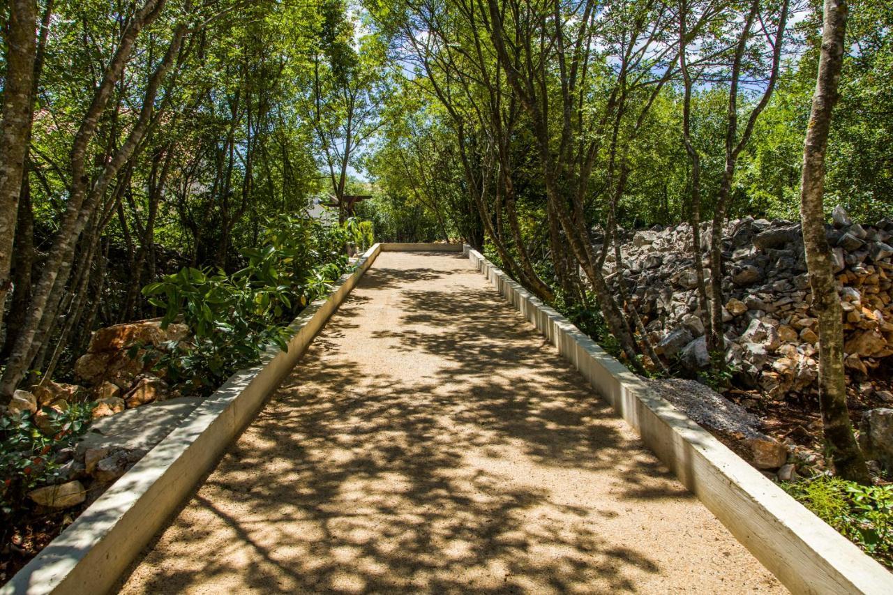 Villa Nabucco Kras Exteriér fotografie